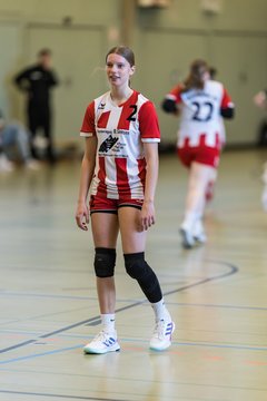 Bild 299 - wBJ SV Henstedt Ulzburg - Bramstedter TS : Ergebnis: 27:15